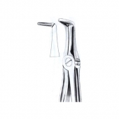 Extarcting Forceps 